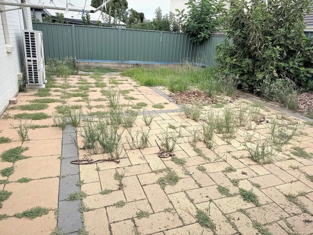 A paved courtyard cleared and cleaned up with a tidy garden border